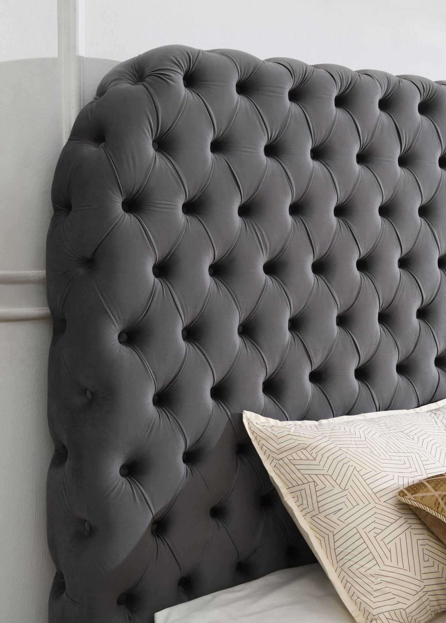 Quinn Velvet Upholstery Beds