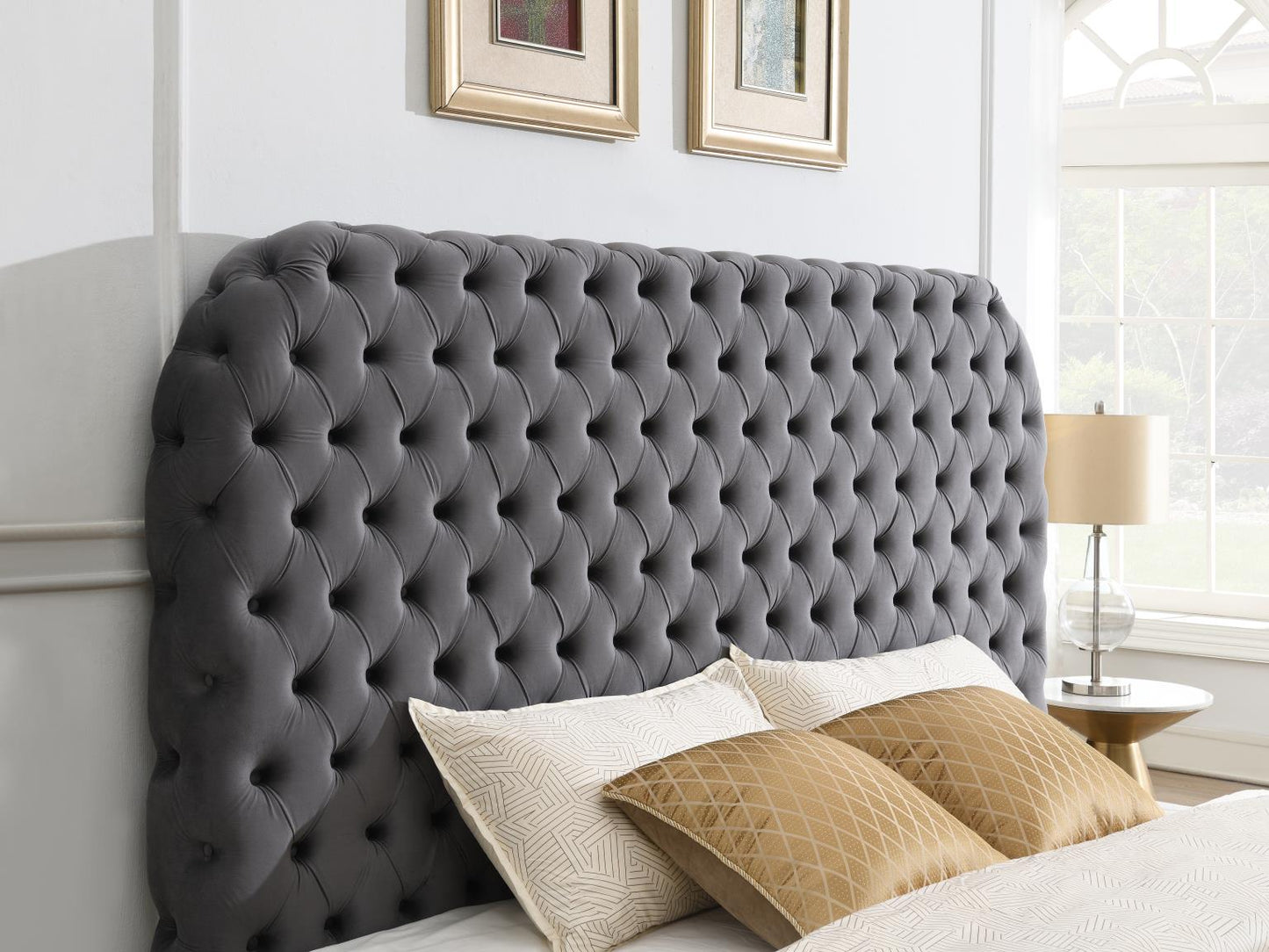 Quinn Velvet Upholstery Beds