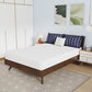 Nasturtium - 8" Full Bamboo Charcoal Infused Memory Foam
