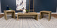 Lynette 3-piece Rectangular Coffee and End Table Set Mango