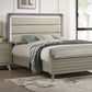 Rainier - 4 Pc Queen Bedroom Set