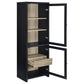 Denison 67-inch 2-door Media Tower Storage Cabinet Black
