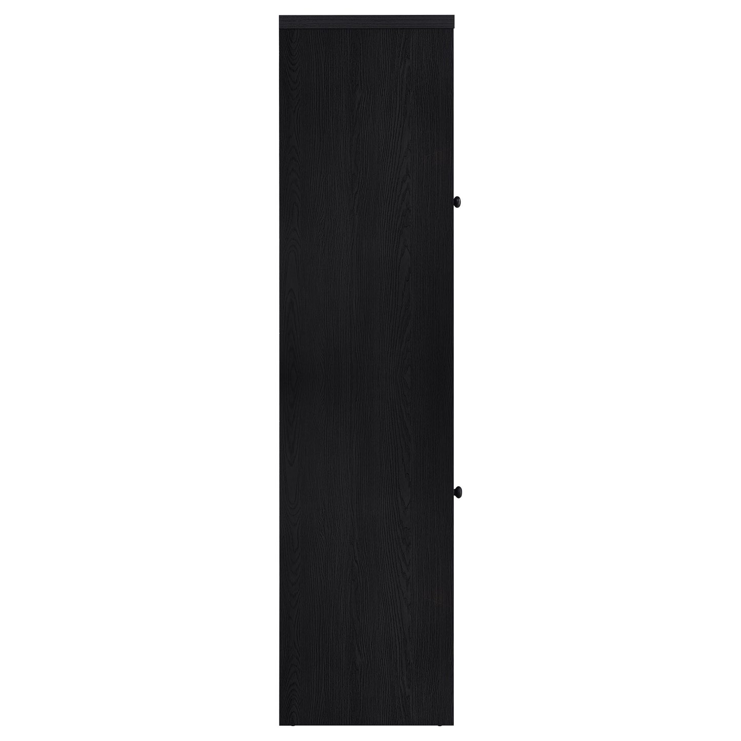 Denison 67-inch 2-door Media Tower Storage Cabinet Black