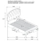 Marianna 4-drawer Upholstered Full Storage Bed Cream