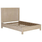 Solano 55-inch Queen Panel Bed Weathered Mango