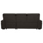 Demko Sleeper Sectional Sofa with Speaker and Storage Chaise Brown