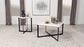 Tobin 2-piece Marble Top Coffee and End Table Set White