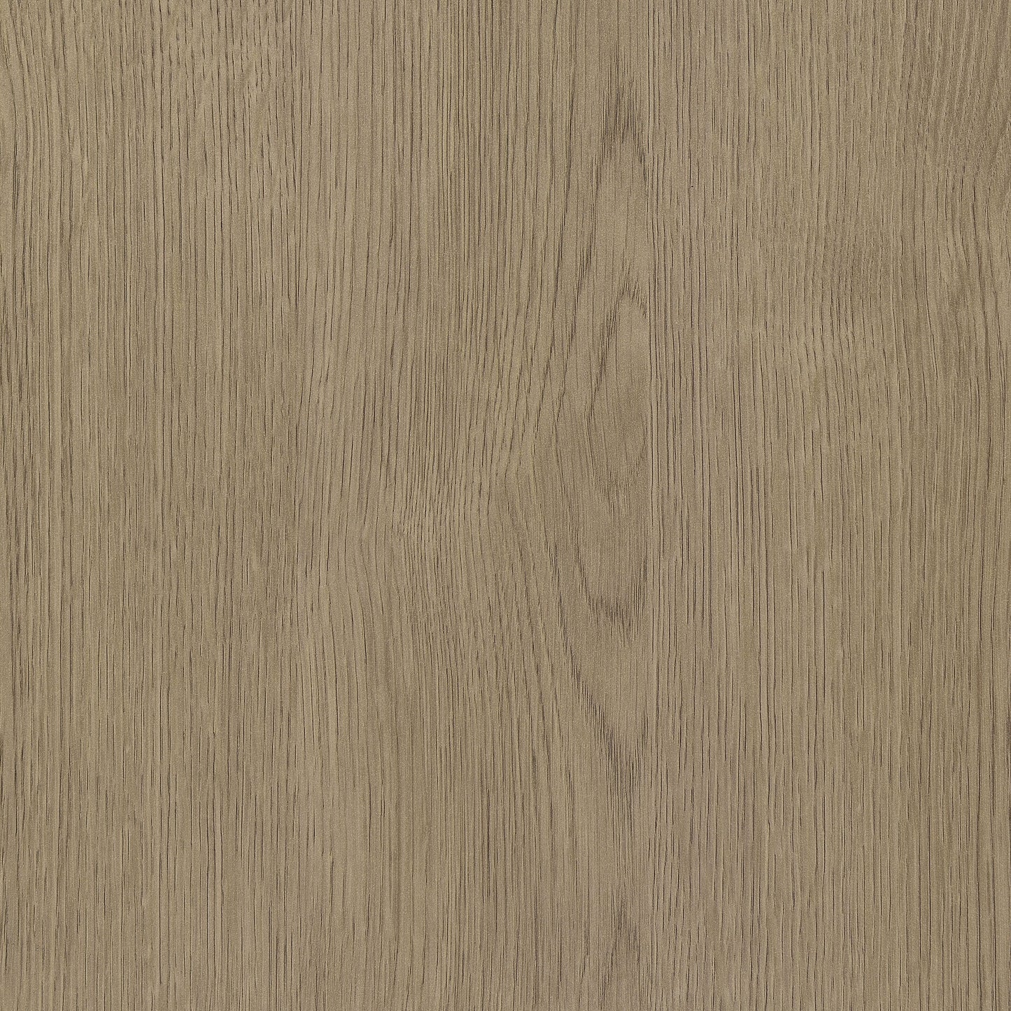 TBD