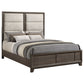 Farre Queen Upholstered Platform Panel Bed Dark Brown